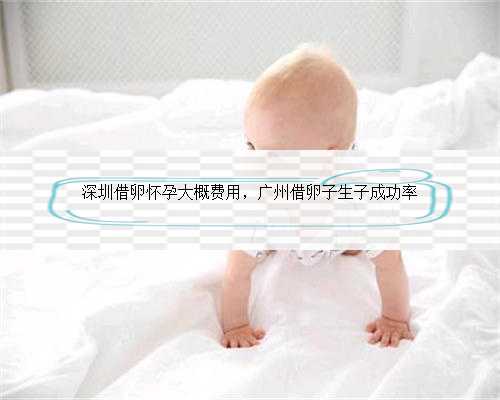 深圳借卵怀孕大概费用，广州借卵子生子成功率