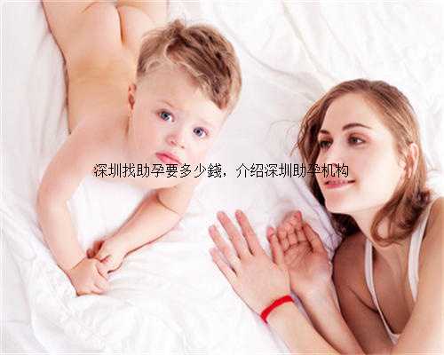 深圳找助孕要多少錢，介绍深圳助孕机构