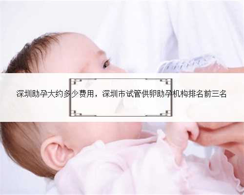 深圳助孕大约多少费用，深圳市试管供卵助孕机构排名前三名