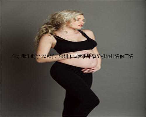 深圳哪里助孕比较好，深圳市试管供卵助孕机构排名前三名