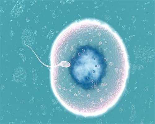 胚胎染色体诊断