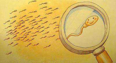 供卵排队多长时间能到,受精卵多长时间能到子宫