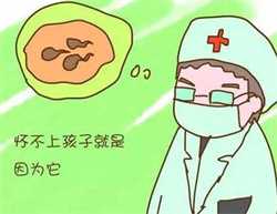 北京供卵试管对卵巢的要求,北京有正规的供卵试管机构吗？
