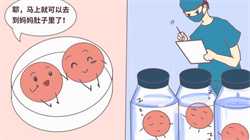 深圳代孕中心的流程，深圳试管婴儿中心医院的医生技术好吗？