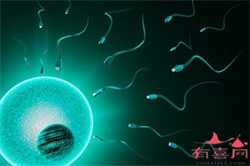 深圳助孕母亲哪儿找，深圳助孕试管冻胚有哪些好处
