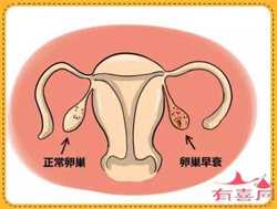 深圳个人代孕，深圳做试管婴儿排名，深圳哪些医院能做试管？