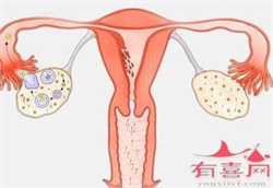 深圳有没有人代孕，深圳三代试管婴儿的费用