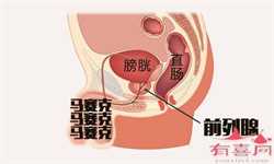 深圳生殖医生招聘，深圳北大和深圳妇幼哪个的生殖中心做试管婴儿技术好？