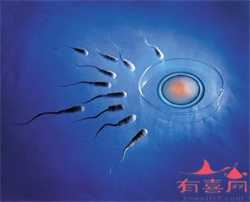 深圳知名代孕联系电话，深圳试管婴儿的费用项目有哪些深圳做试管婴儿费