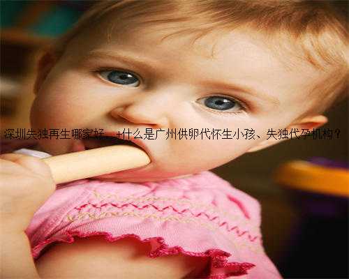 深圳失独再生哪家好， 什么是广州供卵代怀生小孩、失独代孕机构？